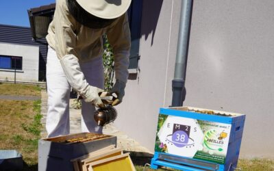 LES ABEILLES EM2S 38 INTEGRENT LEUR NOUVELLE MAISON